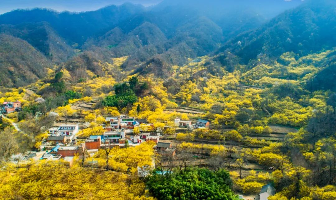 西峽縣被授予第四批“國(guó)家生態(tài)文明建設(shè)示范市縣”榮譽(yù)稱號(hào)